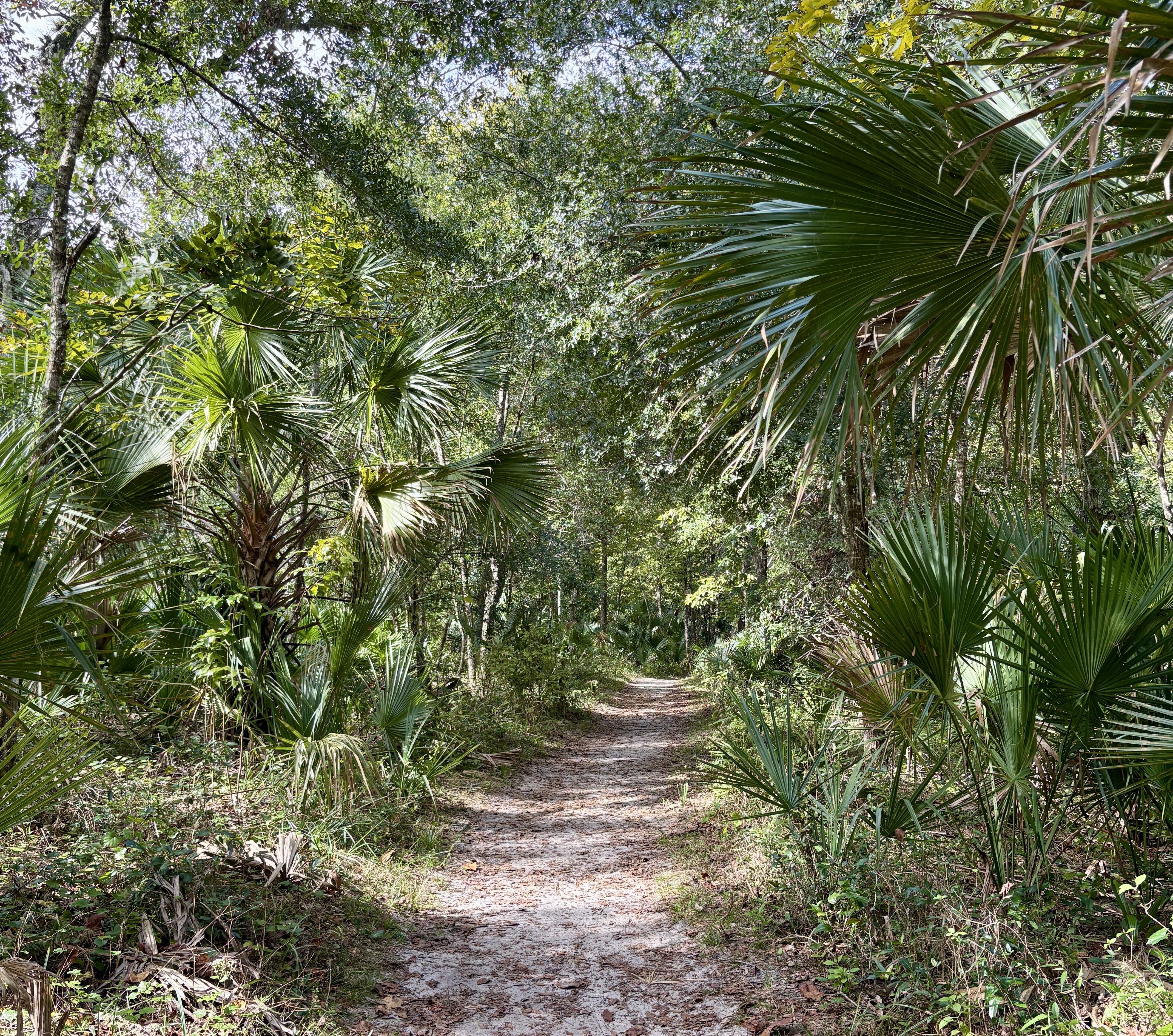 Orlando_Florida/Wekiva_Trail.JPG